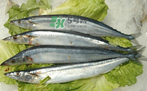 秋刀魚(yú)有魚(yú)鱗嗎？秋刀魚(yú)有寄生蟲(chóng)嗎