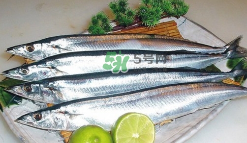 秋刀魚是刀魚嗎？秋刀魚和刀魚的區(qū)別