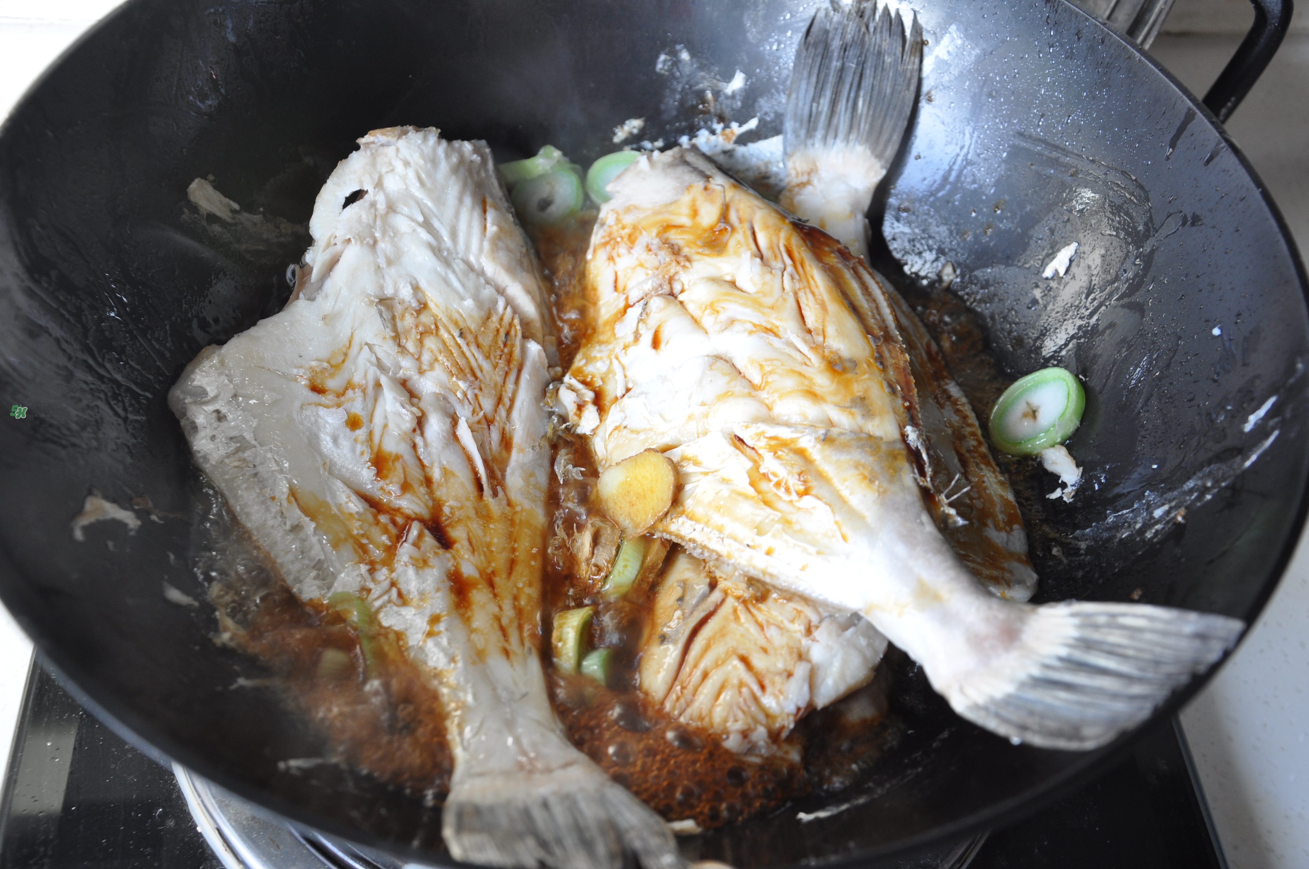 剝皮魚孕婦可以吃嗎？懷孕可以吃剝皮魚嗎？