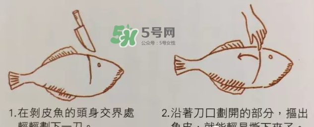 剝皮魚為什么要剝皮？剝皮魚的皮有毒嗎？