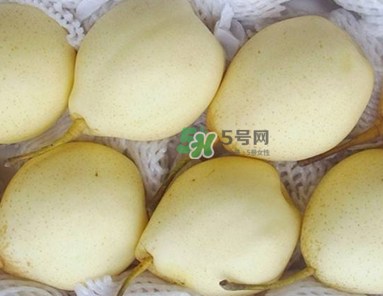 雪花梨是雪梨嗎？雪花梨和雪梨的區(qū)別