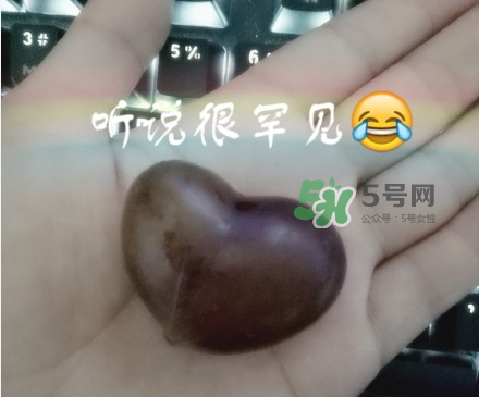 心形葡萄能吃嗎？心形葡萄和普通葡萄的區(qū)別
