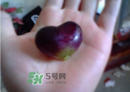 心形葡萄能吃嗎？心形葡萄和普通葡萄的區(qū)別