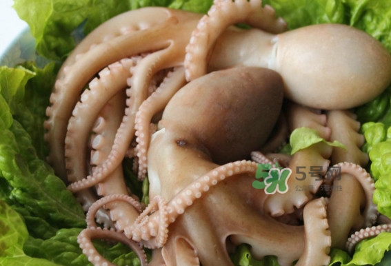 八爪魚(yú)的頭能吃嗎？八爪魚(yú)的頭里面是什么