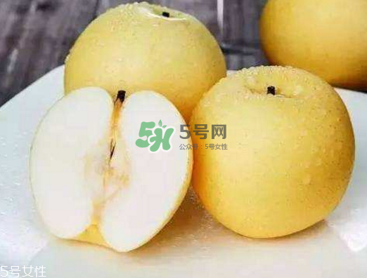 貢梨的產地是哪里？貢梨的功效和作用