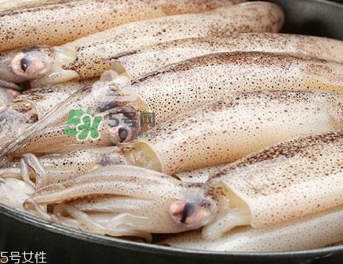 海兔子是什么？海兔子是墨魚嗎