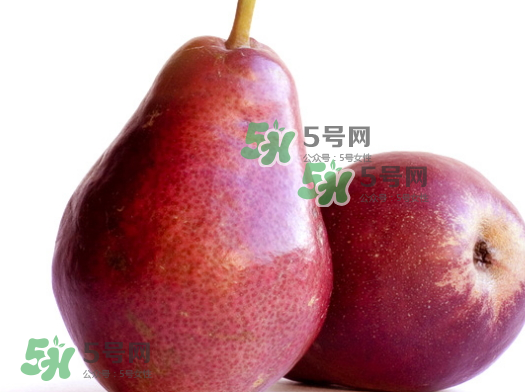 啤梨放軟了才能吃嗎？啤梨的功效與作用