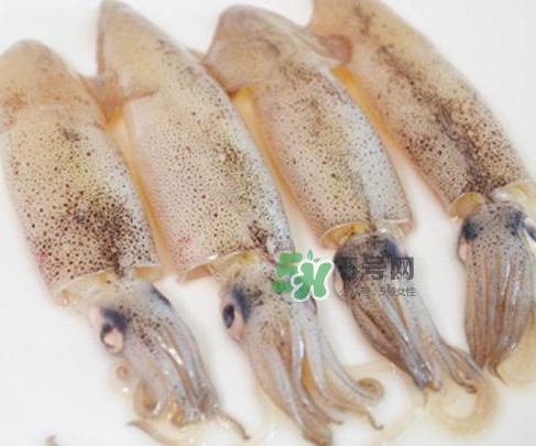 筆管魚是什么魚？筆管魚怎么吃