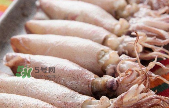 海兔子是小魷魚嗎？海兔子和魷魚的區(qū)別