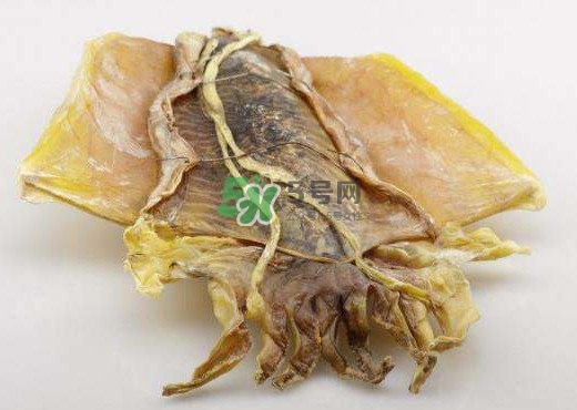 魷魚干是生的還是熟的？魷魚干是海鮮嗎