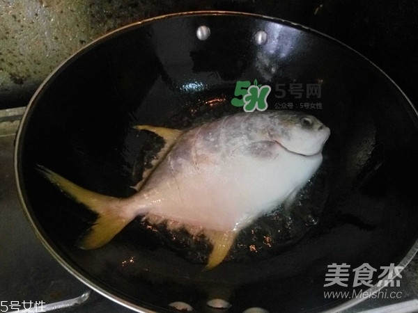 金鯧魚是海魚嗎？金鯧魚的刺多嗎？
