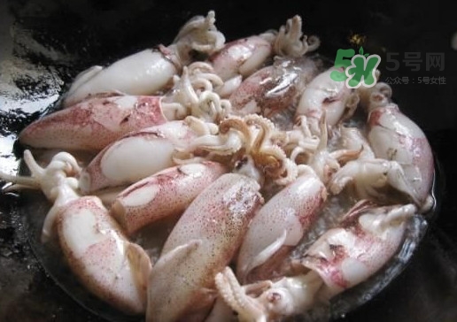 筆管魚(yú)是魷魚(yú)嗎？筆管魚(yú)和魷魚(yú)的區(qū)別