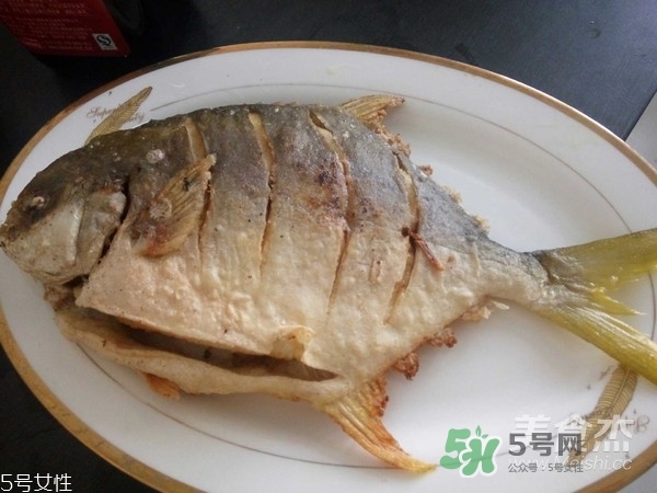 金鯧魚是海魚嗎？金鯧魚的刺多嗎？