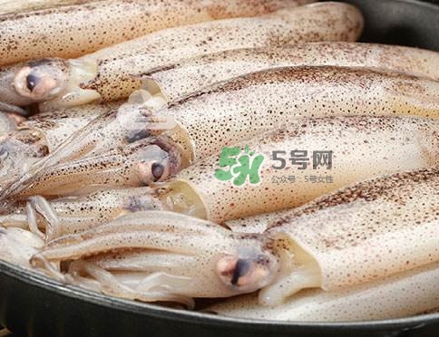 筆管魚是什么魚？筆管魚怎么吃