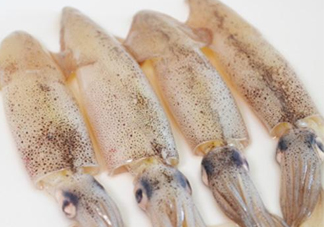 筆管魚(yú)是什么魚(yú)？筆管魚(yú)怎么吃