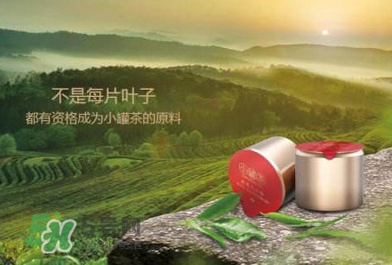 小罐茶怎么樣？小罐茶真的有那么好么