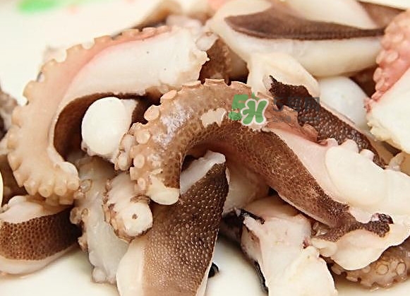 章魚有幾只腳？章魚有幾個爪子