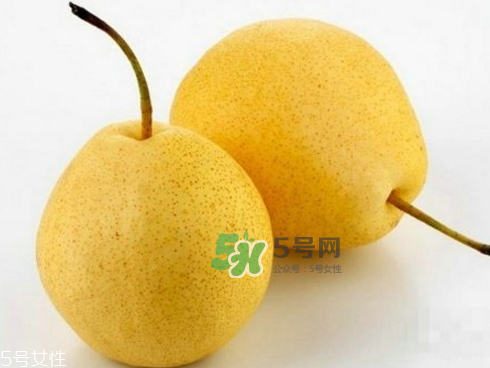 貢梨可以做冰糖雪梨嗎？貢梨可以燉川貝嗎？