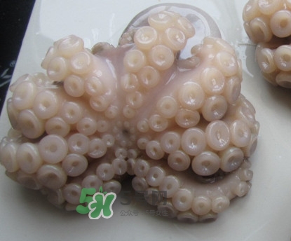 章魚有牙齒嗎？章魚天敵是什么