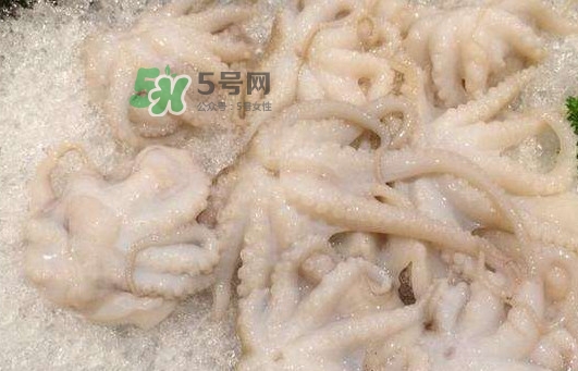 八爪魚(yú)的頭能吃嗎？八爪魚(yú)的頭里面是什么