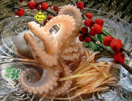 章魚有幾只腳？章魚有幾個爪子
