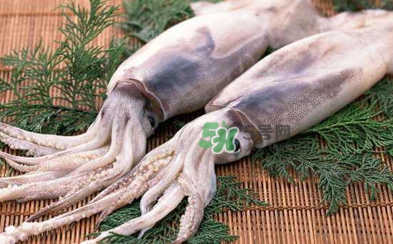 魷魚和雞蛋可以同時食用？魷魚不能和什么一起吃