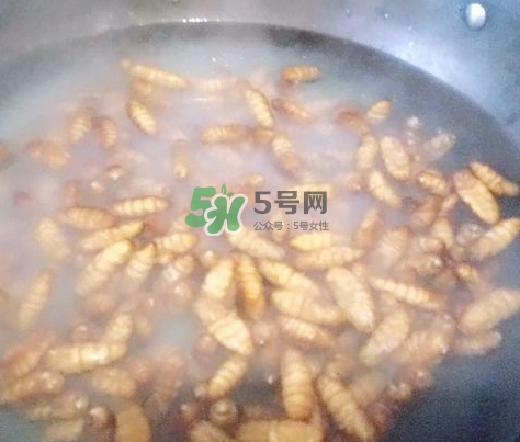 蜂蛹怎么保存？蜂蛹怎么做好吃？