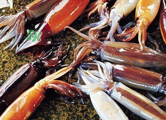 魷魚是堿性食物嗎？魷魚是酸性還是堿性？