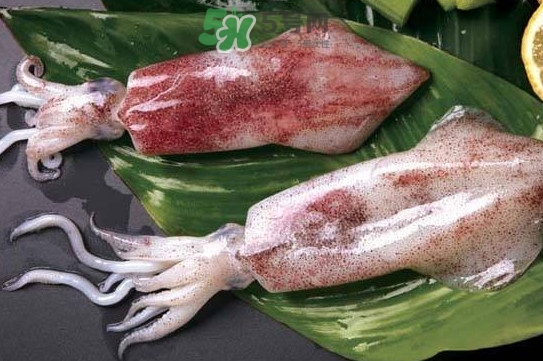 新鮮魷魚怎么處理？魷魚怎么清洗？