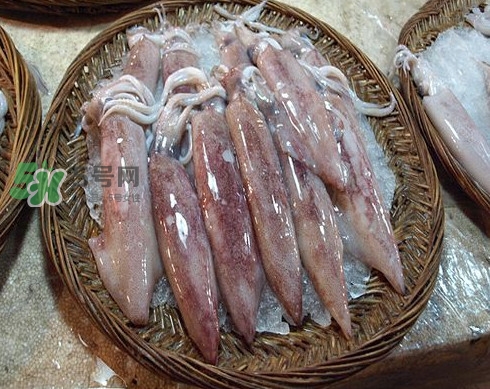 新鮮魷魚怎么保存？魷魚可以冷凍嗎