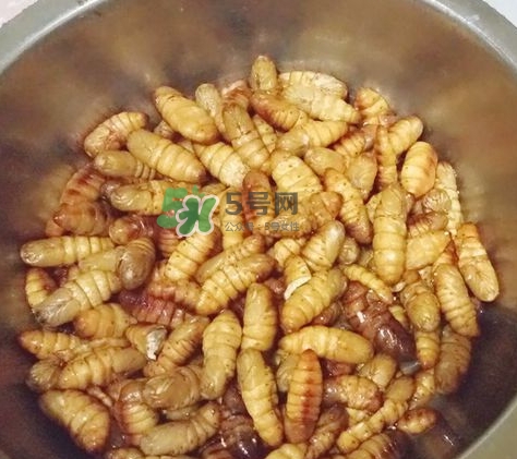 蜂蛹怎么保存？蜂蛹怎么做好吃？