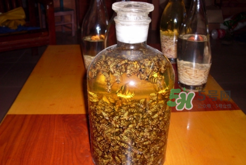 蜂蛹和枸杞能一起泡酒嗎？蜂蛹和枸杞泡酒的功效