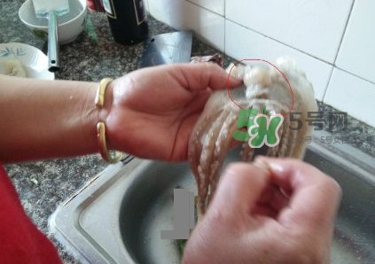魷魚是堿性食物嗎？魷魚是酸性還是堿性？