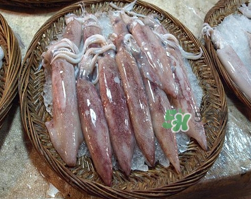 新鮮魷魚怎么處理？魷魚怎么清洗？