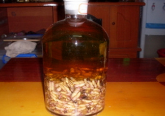 蜂蛹和枸杞能一起泡酒嗎？蜂蛹和枸杞泡酒的功效