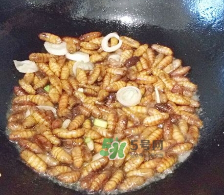 蜂蛹怎么保存？蜂蛹怎么做好吃？