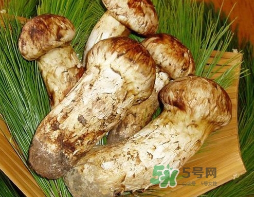 新鮮松茸怎么清洗？新鮮松茸怎么處理