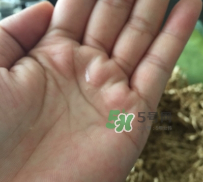 菌菇水是哪個(gè)國家的？悅木之源菌菇水是日本的嗎