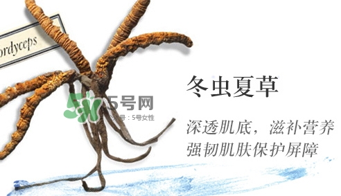 菌菇水是哪個(gè)國家的？悅木之源菌菇水是日本的嗎