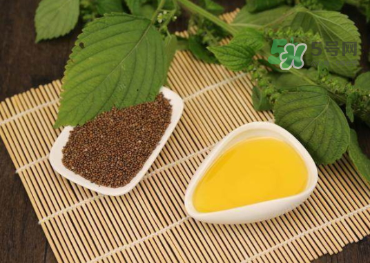 紫蘇水可以天天用嗎？紫蘇水的功效與作用
