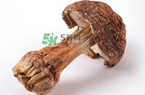 產(chǎn)婦能吃松茸嗎？哺乳期可以吃松茸嗎