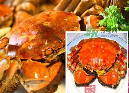 紅印蟹怎么回事？紅印蟹有什么不同？