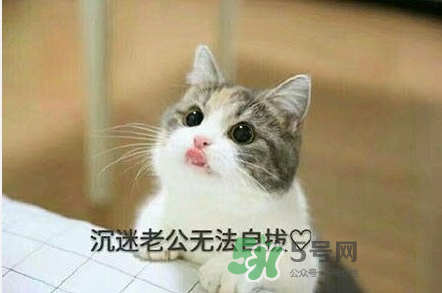南方老公和東北老公哪個(gè)好？南方老公和東北老公的區(qū)別