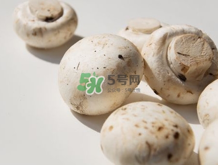 白蘑菇是什么種類？白蘑菇怎么洗才洗得干凈
