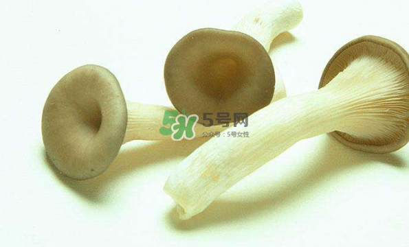 蘑菇不能和茄子一起吃嗎？蘑菇不能和什么一起吃？