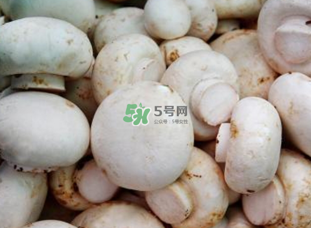 蘑菇變黑了還能吃嗎？蘑菇怎么保存？