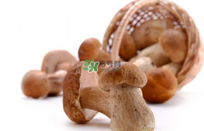 蘑菇能放冰箱嗎？蘑菇能放冰箱多長時間？