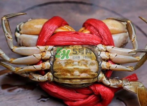 黃油蟹什么季節(jié)吃最好？黃油蟹產(chǎn)地
