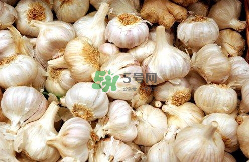 壽光大蒜有毒嗎？壽光毒大蔥事件