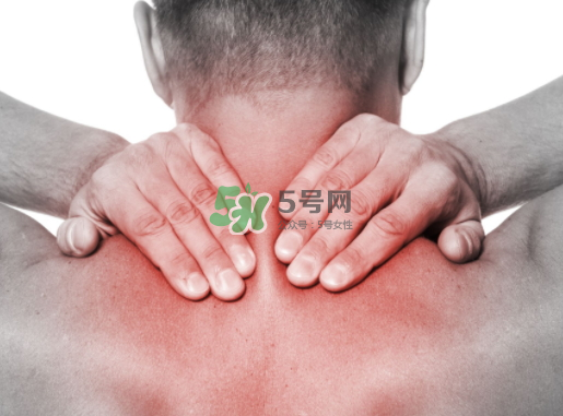 碧緹福護頸儀多少錢？碧緹福護頸儀價格